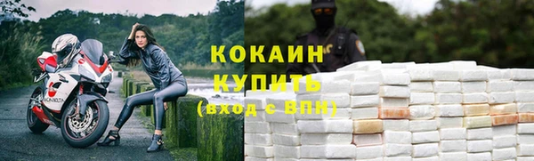 ГАЛЛЮЦИНОГЕННЫЕ ГРИБЫ Богданович