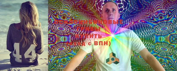 МДПВ Майский